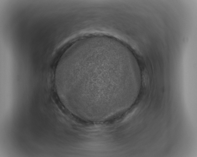 X0000113311494200909281114