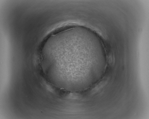 X0000113311496200909281114