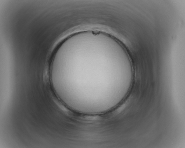 X0000113311498200909281114