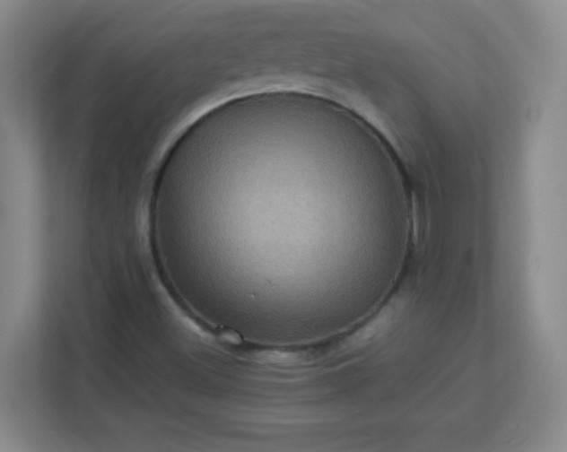 X0000113311500200909281114