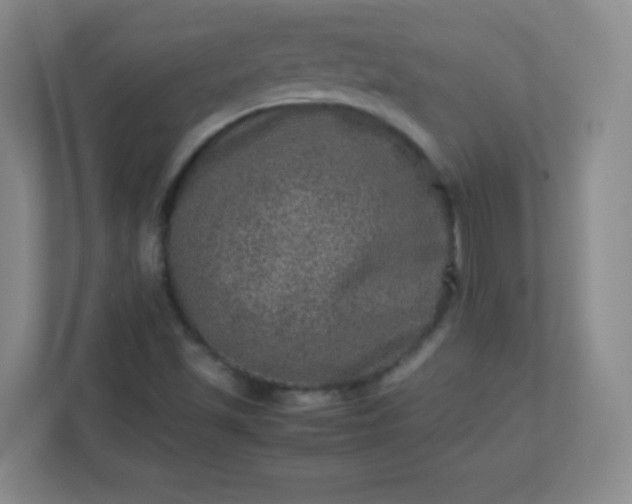 X0000113311501200909281114