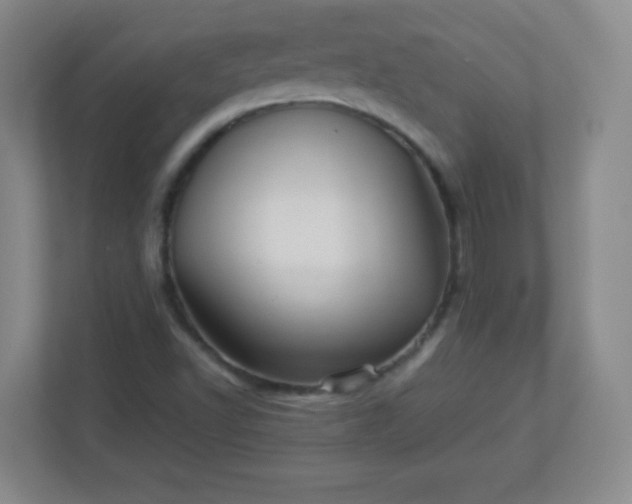 X0000113311502200909281114