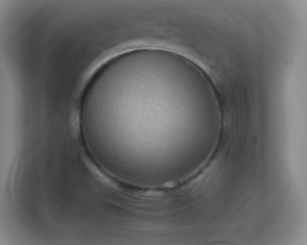 X0000113311503200909281114