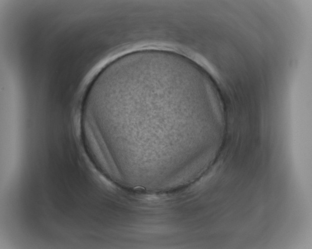 X0000113311504200909281114