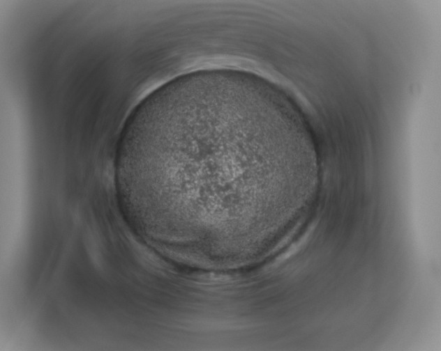 X0000113311505200909281114