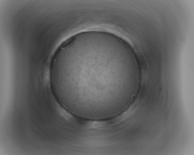 X0000113311506200909281114