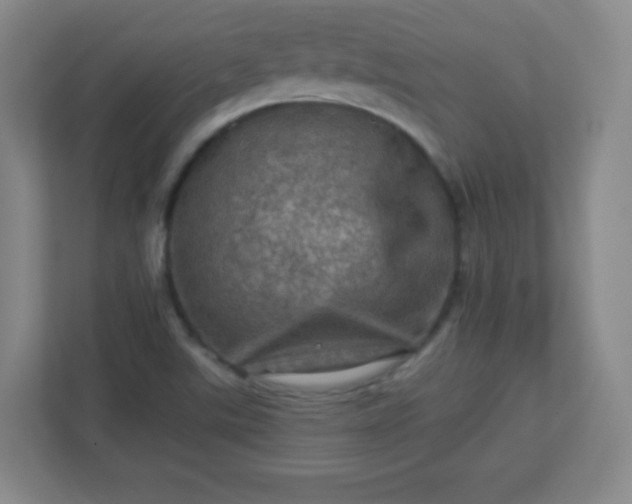 X0000113311507200909281114