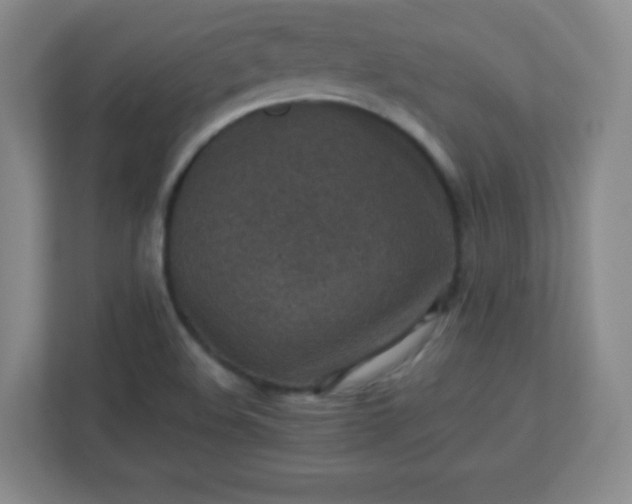 X0000113311508200909281114