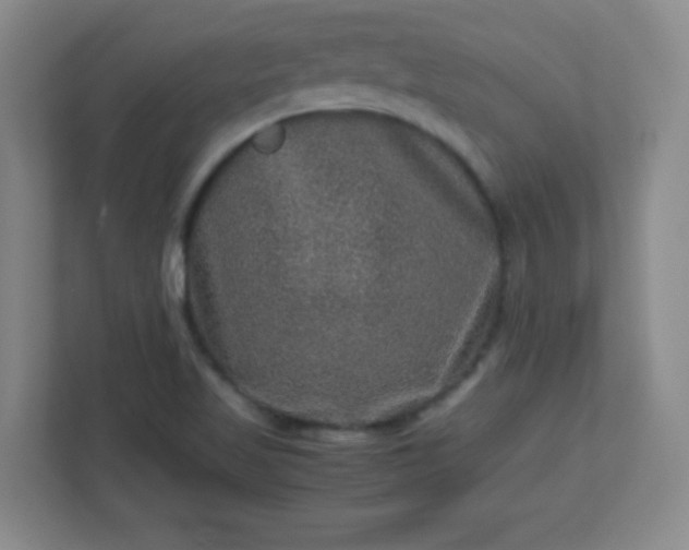 X0000113311509200909281114