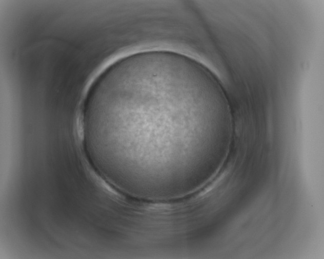 X0000113311510200909281114