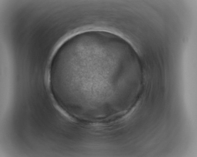 X0000113311511200909281114