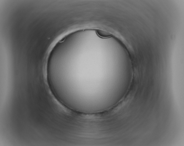 X0000113311512200909281114