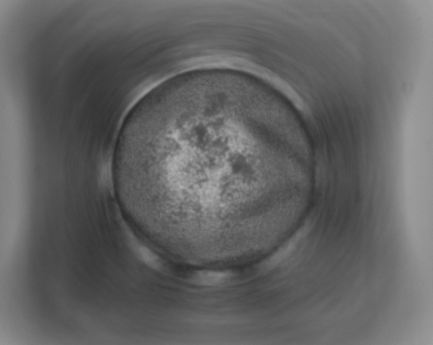 X0000113311513200909281114