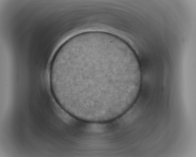 X0000113311514200909281114