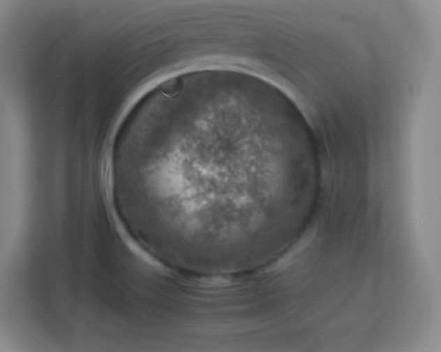 X0000113311515200909281114