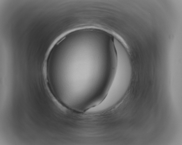 X0000113311516200909281114