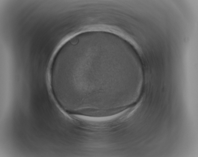 X0000113311517200909281114