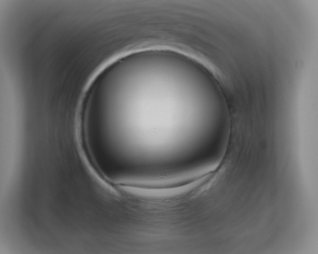 X0000113311518200909281114