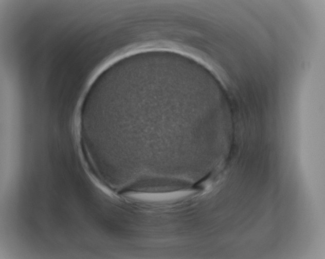 X0000113311519200909281114