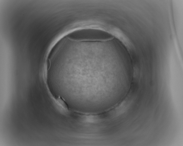 X0000113311520200909281114