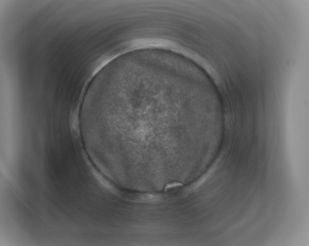 X0000113311521200909281114