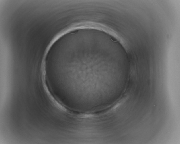 X0000113311522200909281114