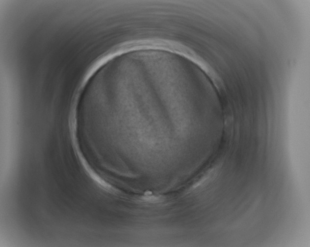 X0000113311523200909281114