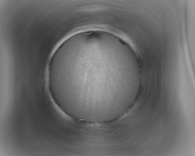 X0000113311524200909281114