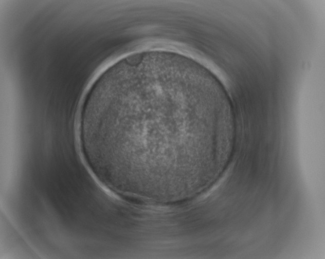 X0000113311525200909281114