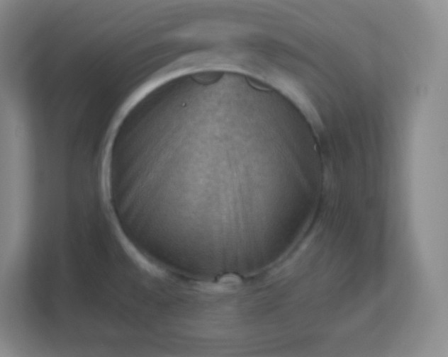 X0000113311528200909281114