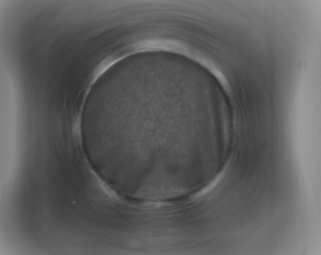 X0000113311529200909281114