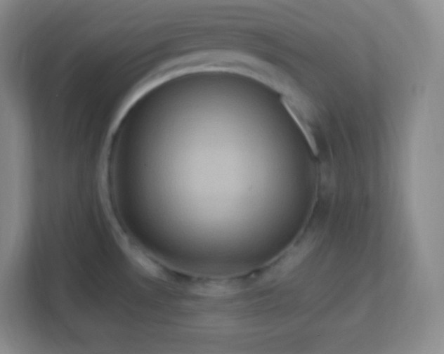 X0000113311530200909281114