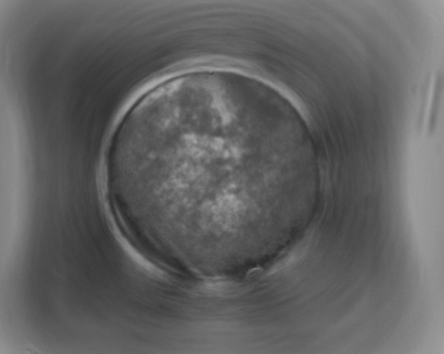 X0000113311531200909281114