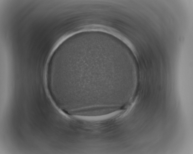 X0000113311533200909281114