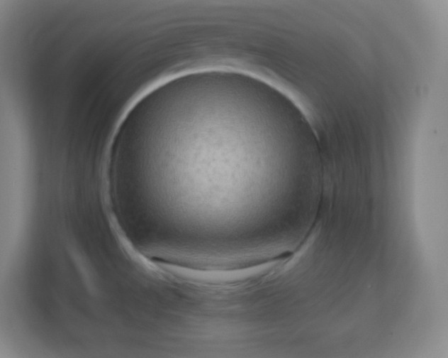 X0000113311534200909281114