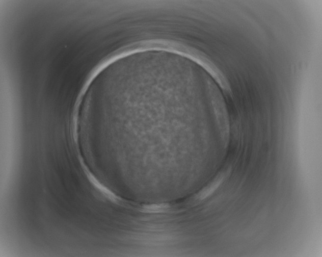 X0000113311535200909281114