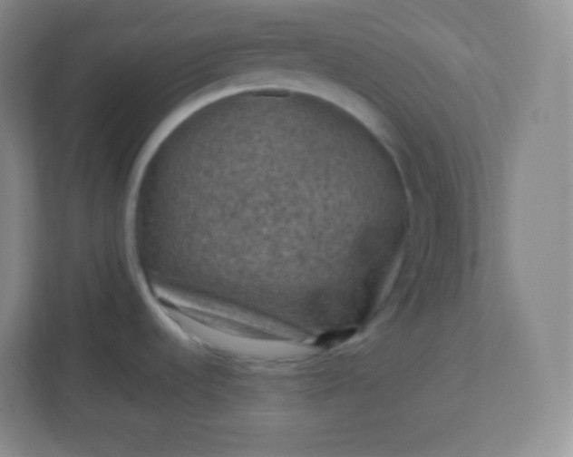 X0000113311536200909281114