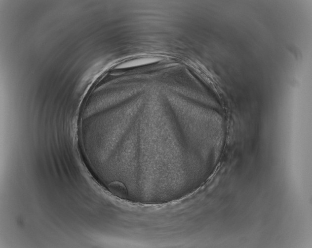 X0000113310002200910051114