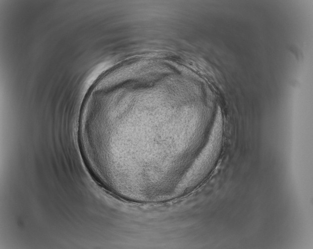 X0000113310003200910051114