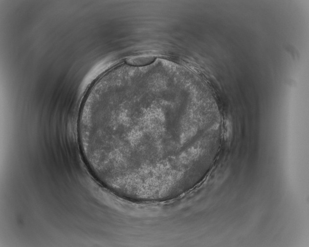 X0000113310004200910051114