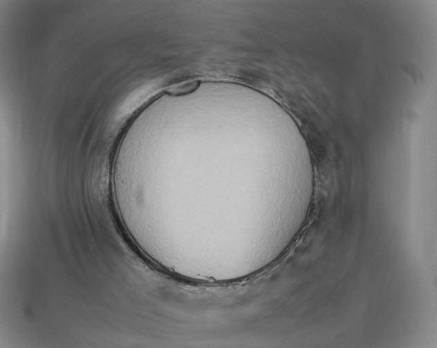 X0000113310005200910051114