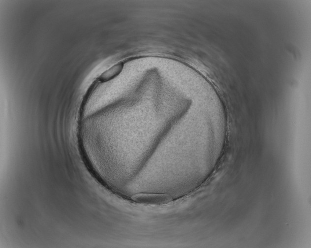 X0000113310007200910051114