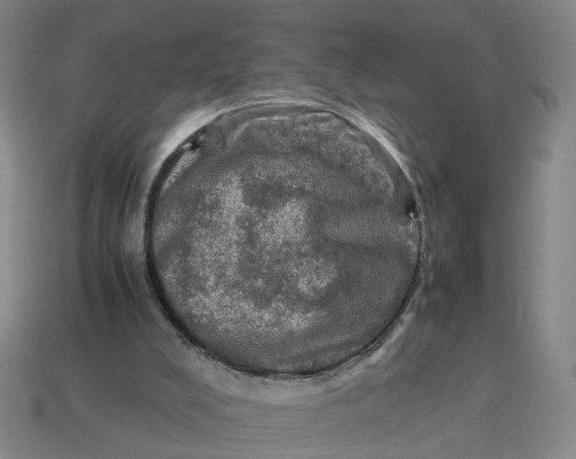 X0000113310008200910051114