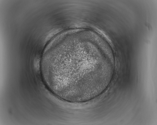 X0000113310010200910051114