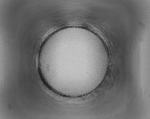 X0000113310011200910051114