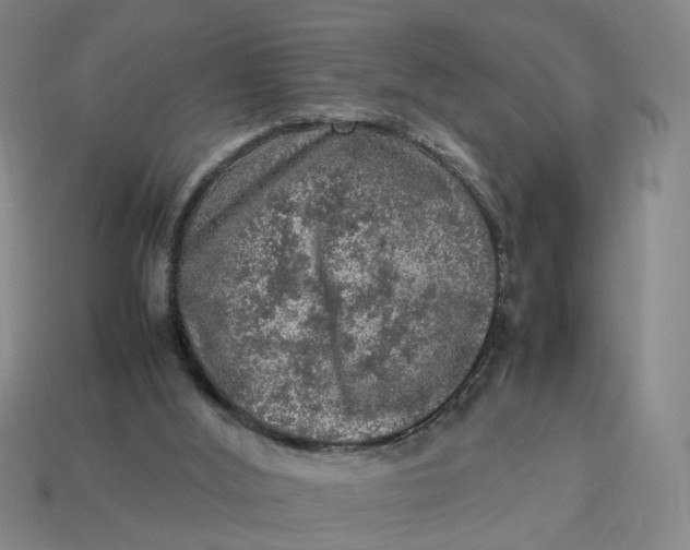 X0000113310012200910051114