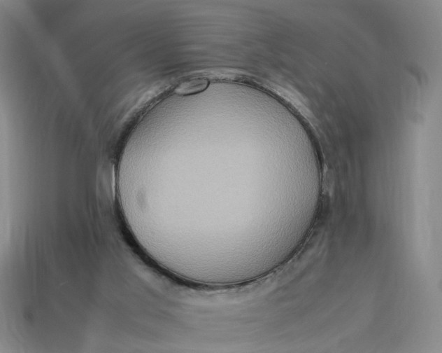 X0000113310013200910051114