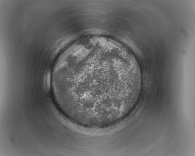 X0000113310014200910051114