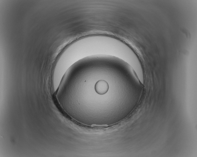 X0000113310015200910051114