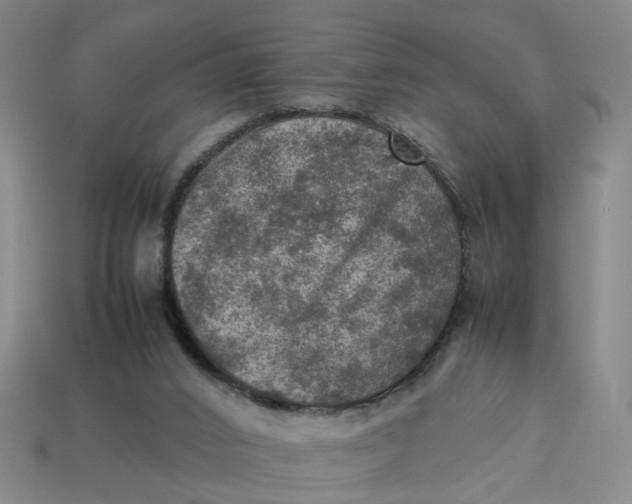 X0000113310016200910051114